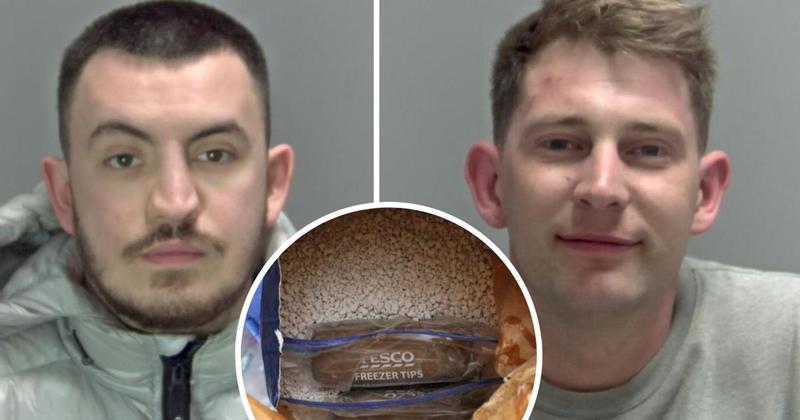 Undercover police operation smashes gang hiding drugs in cat litter in shipping units Undercover police operation smashes gang hiding drugs in cat litter in shipping units