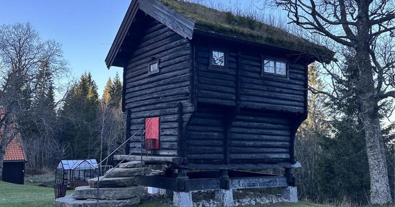 Why the UK should follow Norway's lead amid plans for 700 'special' homes