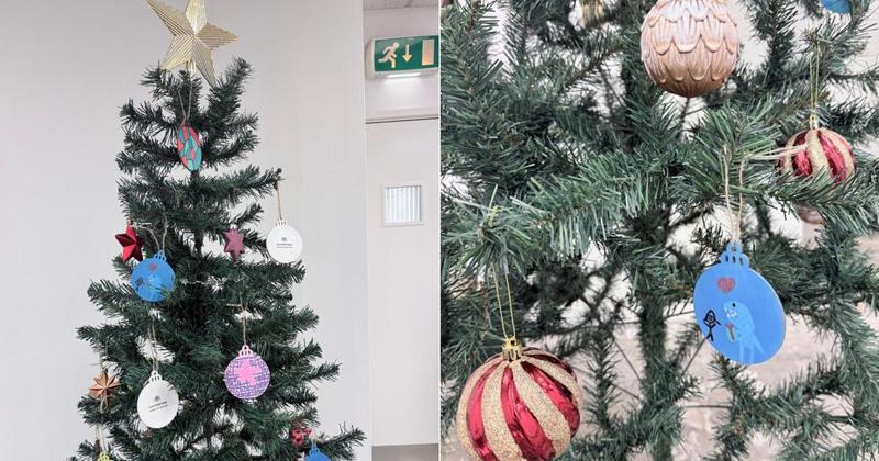 Christmas tree returned to trail after being vandalised