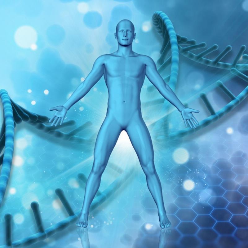 O corpo que você levou para o ano seguinte