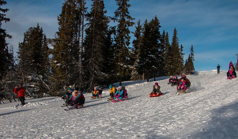 Et fantastisk friluftslivsår – gjort mulig av frivillige helter