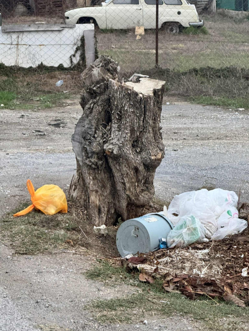 Ders almadılar; ülkemizi bir daha yıkacaklar, yakacaklar!