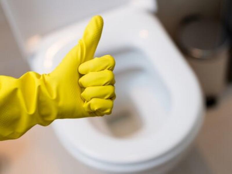 Подправката, която хитрите домакини слагат в казанчето в тоалетната