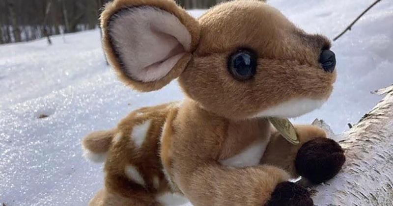 Camp Kawartha has your last-minute gift ideas wrapped up