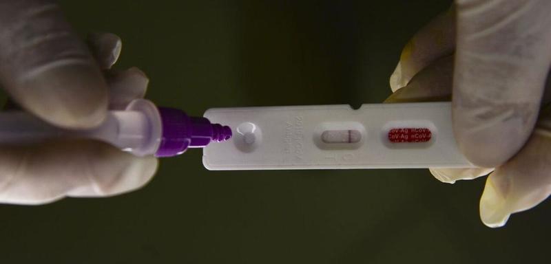 Covid-19 e vitamina D