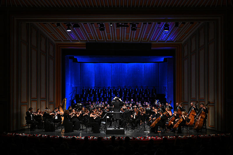 Beş Milyarlık Tütü Rezilliği