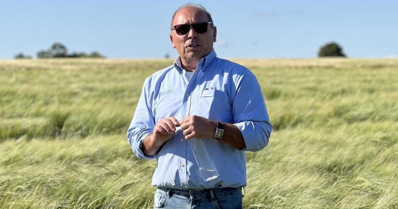Norfolk crop breeder's 'Belter' barley wins approval for brewing Norfolk crop breeder's 'Belter' barley wins approval for brewing