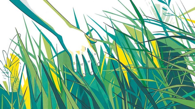 Cambiar el lodo por la hierba