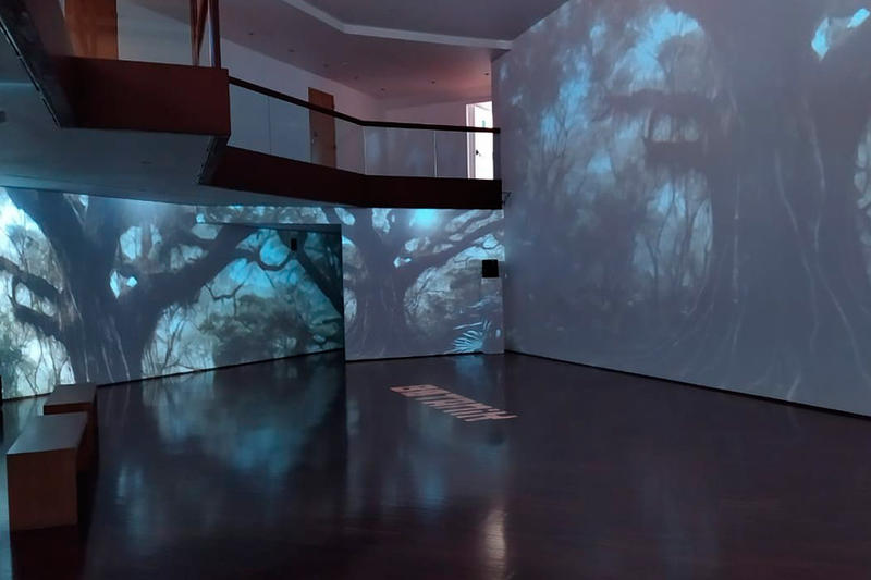 El “Paisaje Expandido” de Ricardo Arispe, por Valentina Rodríguez