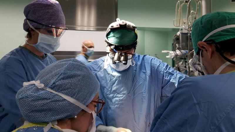 L’ultimo gesto d’amore. Muore donna di 35 anni, donati fegato e cornee