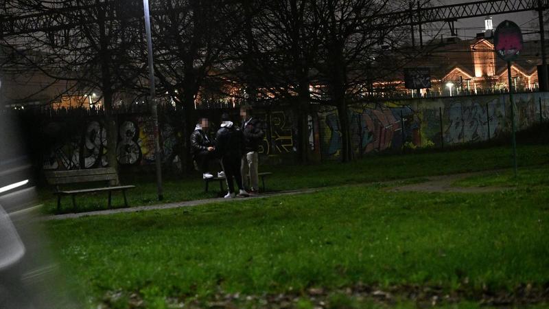 Fuochi e petardi nel parco. La rabbia dei residenti: 