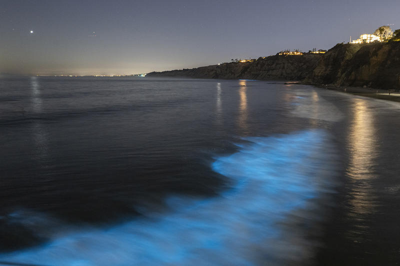 A dazzling nighttime adventure at Point Reyes hides a grim truth