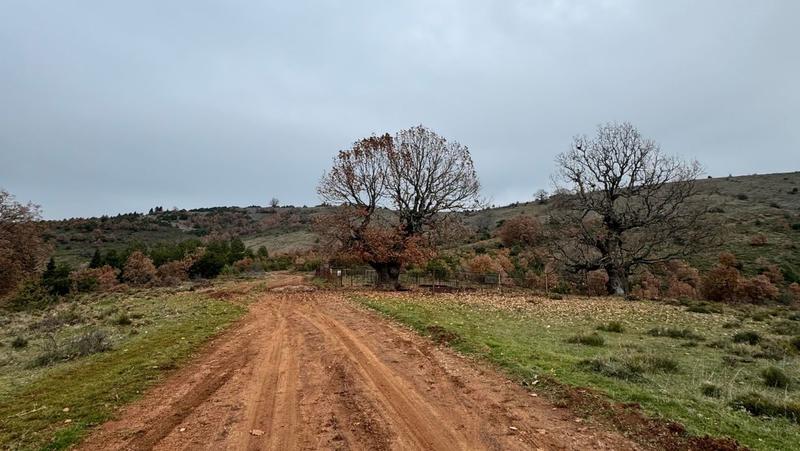 Δεν υπάρχει δρόμος να κλείσουν οι αγρότες