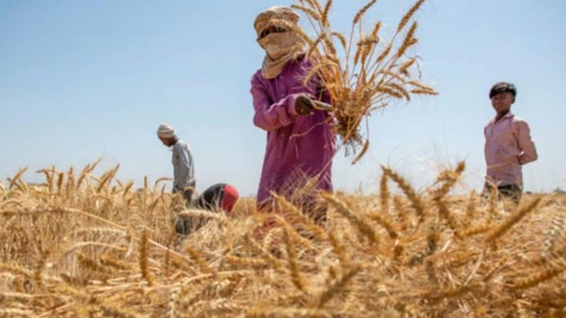 Opinion | From Farms To The Future: How Organic Food Can Build Viksit Bharat 2047