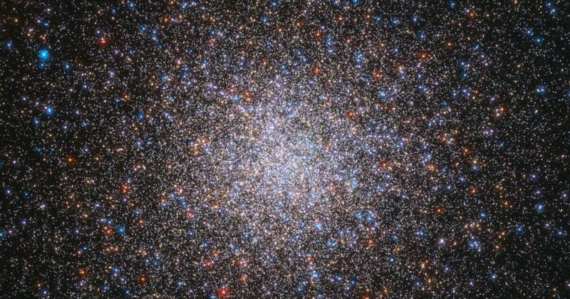 Horóscopo: saiba o que esperar para o seu signo nesta segunda-feira, 22