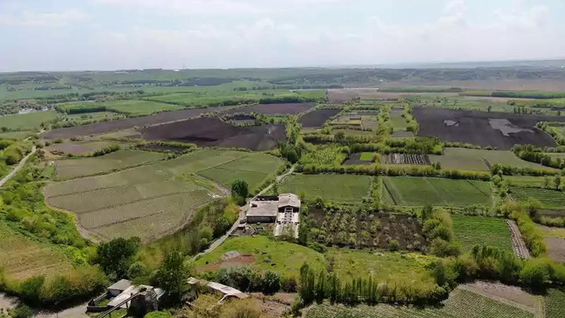 GÜNÜN, UYGULANMASI İSTENEN SÖZÜ