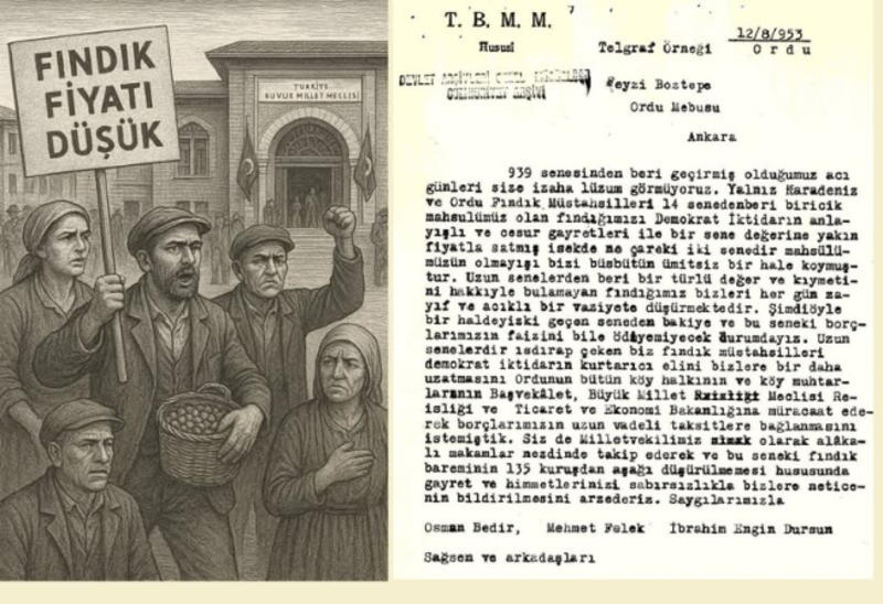 Fındık 70 Yıl Önce Neyse