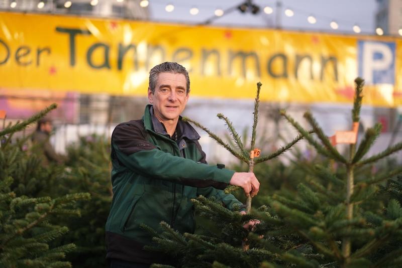 Berliner Tannenhändler warnt vor Preisschock: „Eine Nordmanntanne kostet bald 70 Euro“
