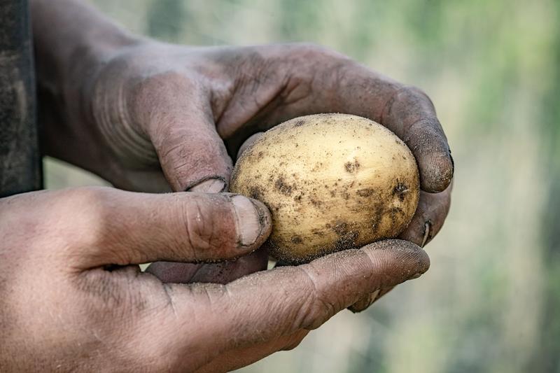 Ruoka | Onnellisen ruuan maa