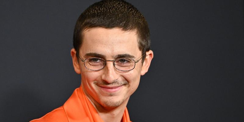 Ist Timothée Chalamet der neue Leonardo DiCaprio?