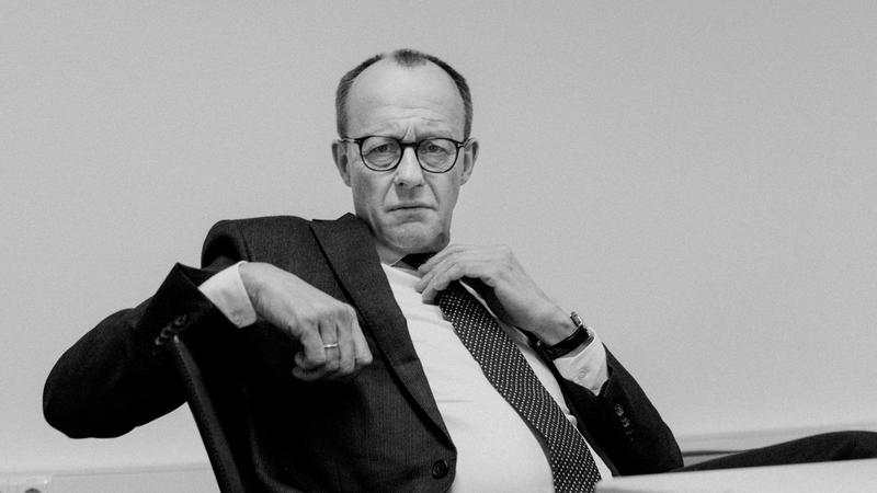 Versteh einer den Merz