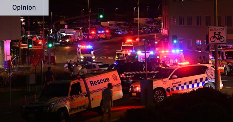 I’m a former cop. The Bondi police actions were entirely correct