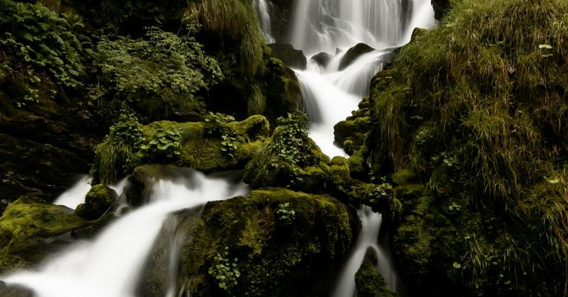 Why Some People Sound Calm When They’re Not