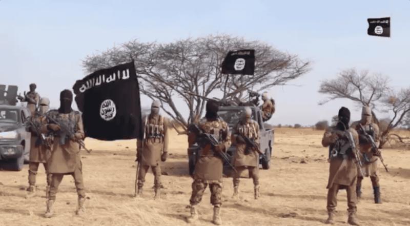 L’Afrique subsaharienne, nouvel eldorado pour l’État islamique ?