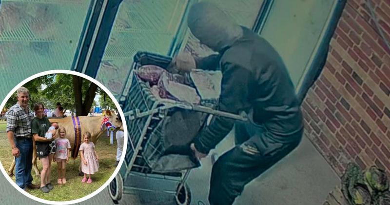 Photo reveals how gang of thieves stole £1,000 of meat