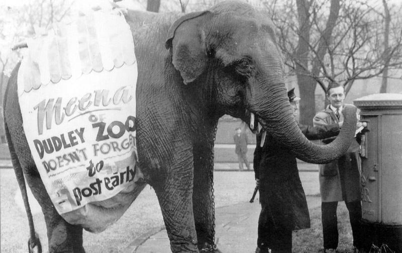 'Reader calls for national prostate cancer screening to save lives' - Your Letters plus Meena the elephant stars in a festive picture from the archive