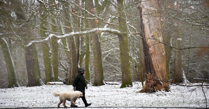 Will it snow on Christmas Day in Norfolk?