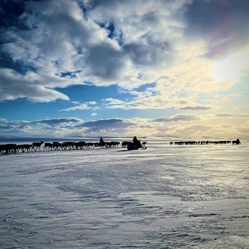 Når forvaltningen mangler nærhet Når forvaltningen mangler nærhet