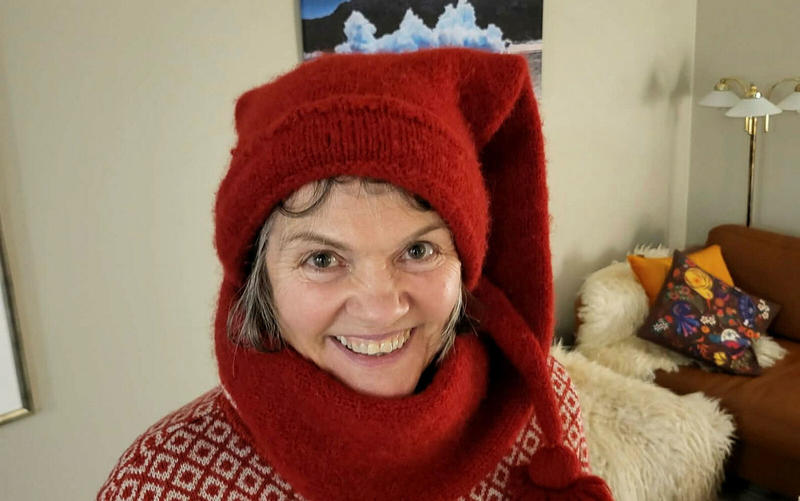 Reisen til Sametinget Reisen til Sametinget