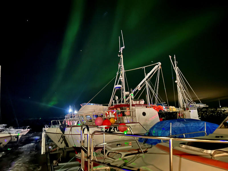 Finnmark tømmes – mens fisken forsvinner sørover Finnmark tømmes – mens fisken forsvinner sørover