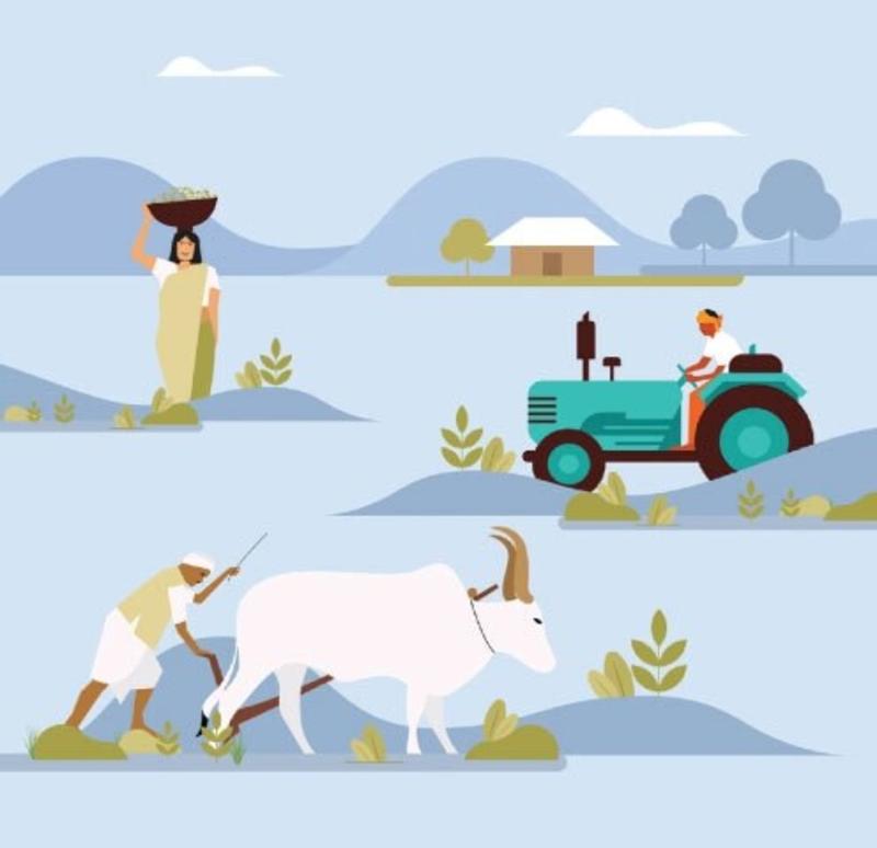 Time to focus on potatoes and garlic