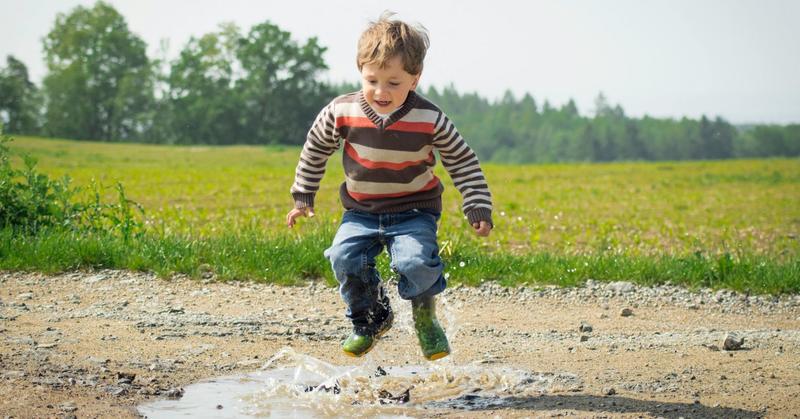 Why We Submit, Rebel, or Awaken