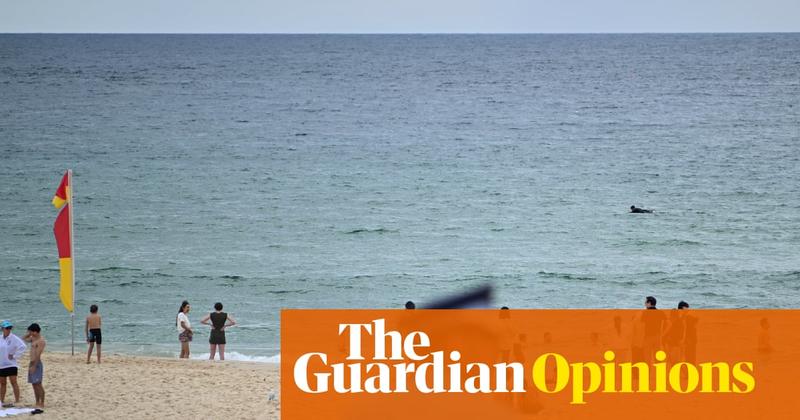 Australia’s gun laws have long been the envy of the world. They must remain so, especially after Bondi