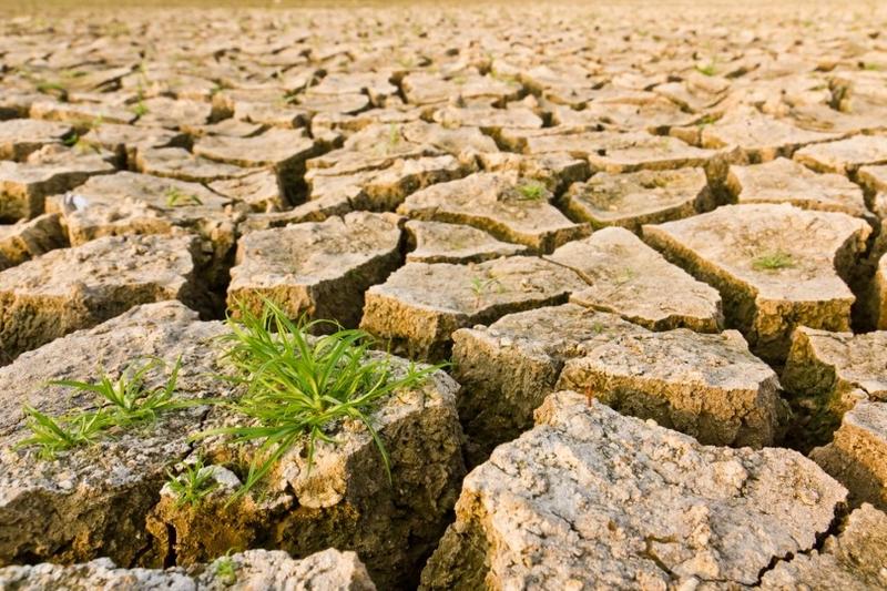 Land, Climate, and Conflict: Unravelling the Nexus in Sudan, Syria, and Morocco