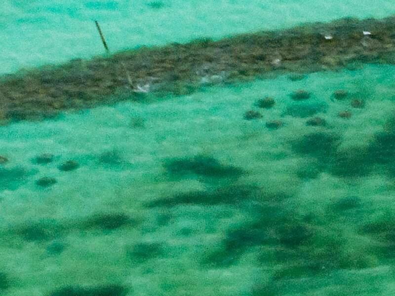 Ça coûte cher voyager en famille!