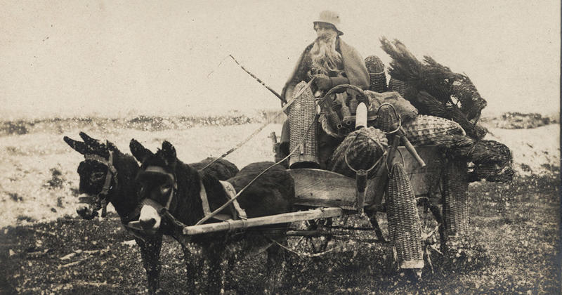 Zeitgeschichte | Weihnachten 1914 und der Moment der Verbrüderung