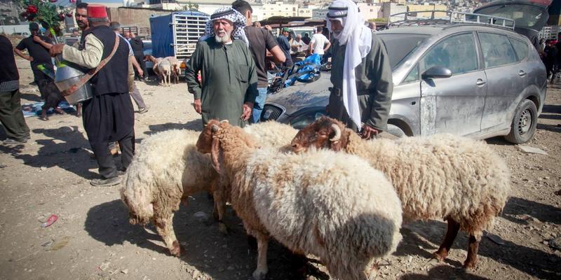 Festnahmen nach Angriff auf palästinensischen Hirten