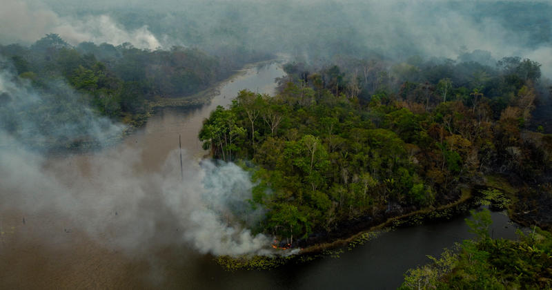Le nouveau report du règlement européen sur la déforestation est l’arbre qui cache la forêt