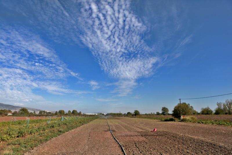 Αγρανάπαυση