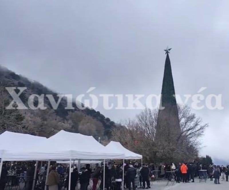 Είδαν το δέντρο αλλά...