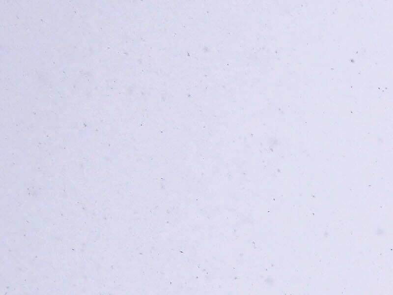 Une partie de notre patrimoine en danger