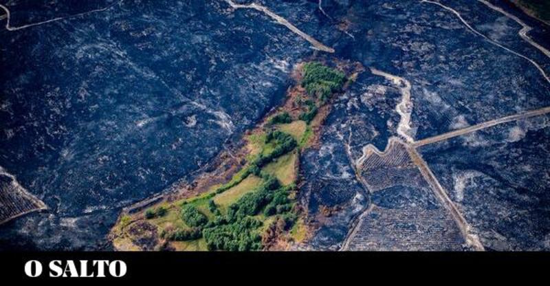Dos megaincendios ao lume controlado coa paisaxe mosaico Dos megaincendios ao lume controlado coa paisaxe mosaico