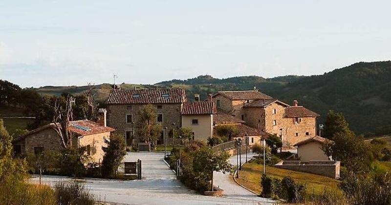 Un safari nel bosco nella Tenuta Borgo Santa Cecilia: in fuoristrada tra cervi e lepri