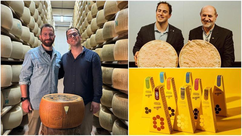 Caseificio Malandrone, dove il Parmigiano Reggiano è tradizione e innovazione: c’è anche il panettone