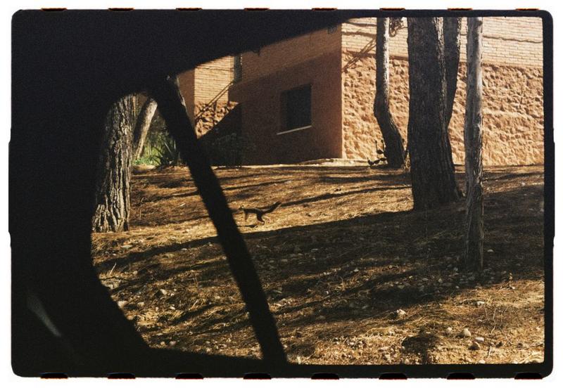 Letras que bailan Letras que bailan