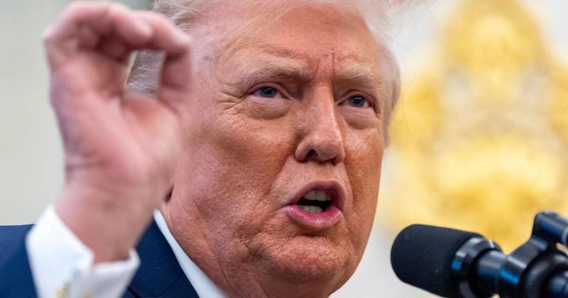 Wissensdrang: Warum Trump mit Lügen Erfolg hat